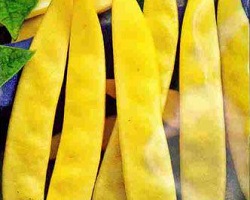 фасоль желтая турша по корейски оптом в Краснодаре от производителя
